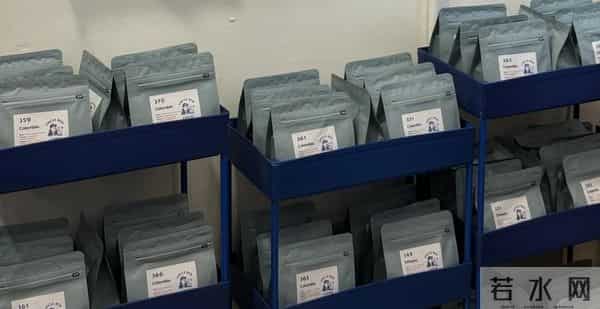 林俊杰炮KING是真的吗