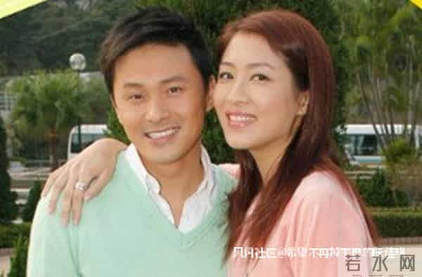 支持占中的明星