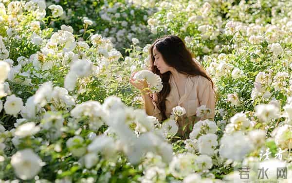 从不喜欢孤单一个歌词