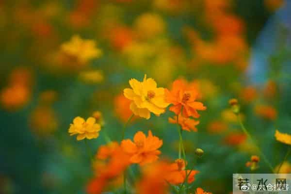 苏州是什么气候