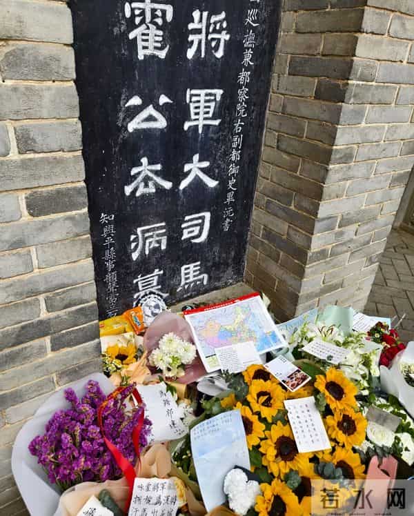 大汉贤后卫子夫电视剧