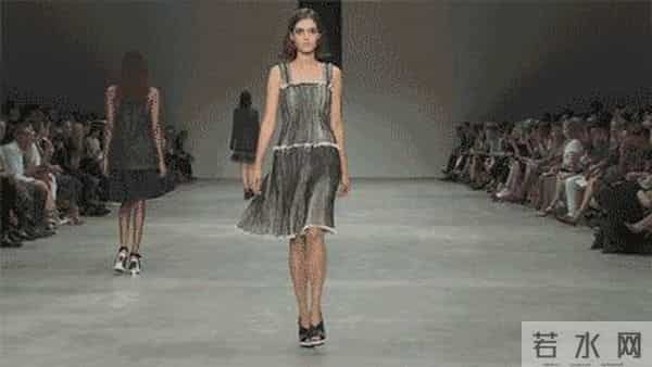 张禾禾个人资料