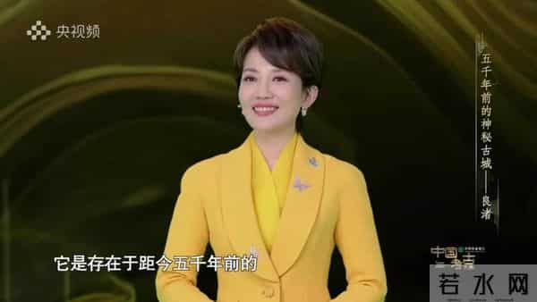 中央电视台王端端