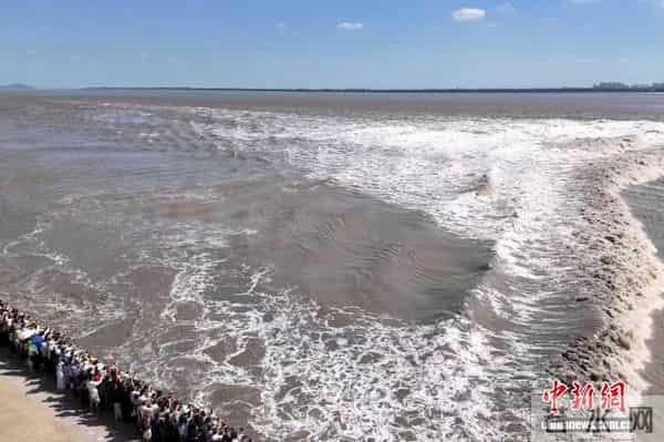 钱塘江每天涨潮时间表