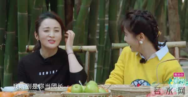 蒋勤勤和刘涛怎么了