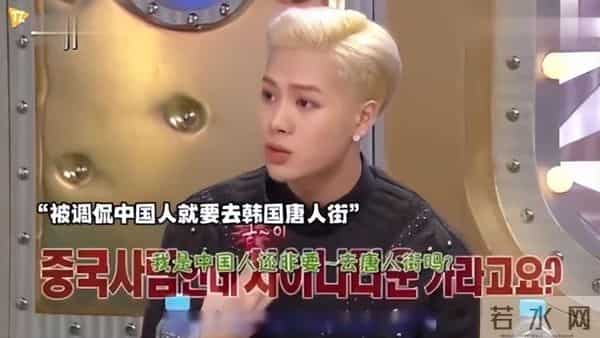 蔡依林个人简历