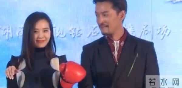 刘诗诗个人资料介绍