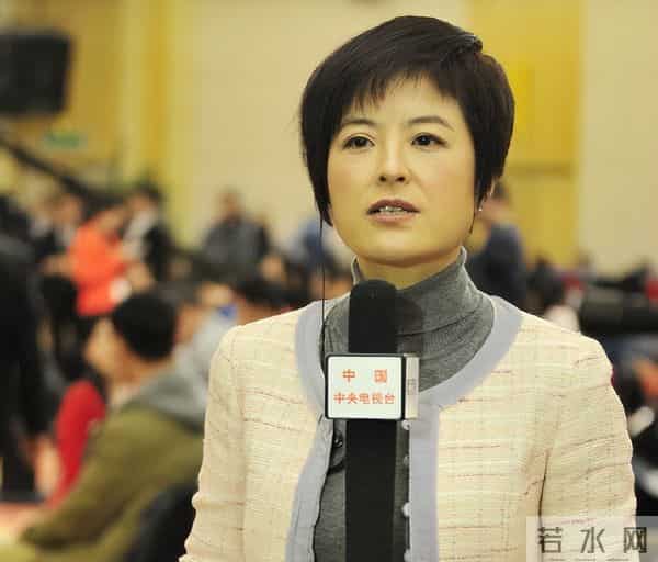 撒贝宁前妻张泉灵