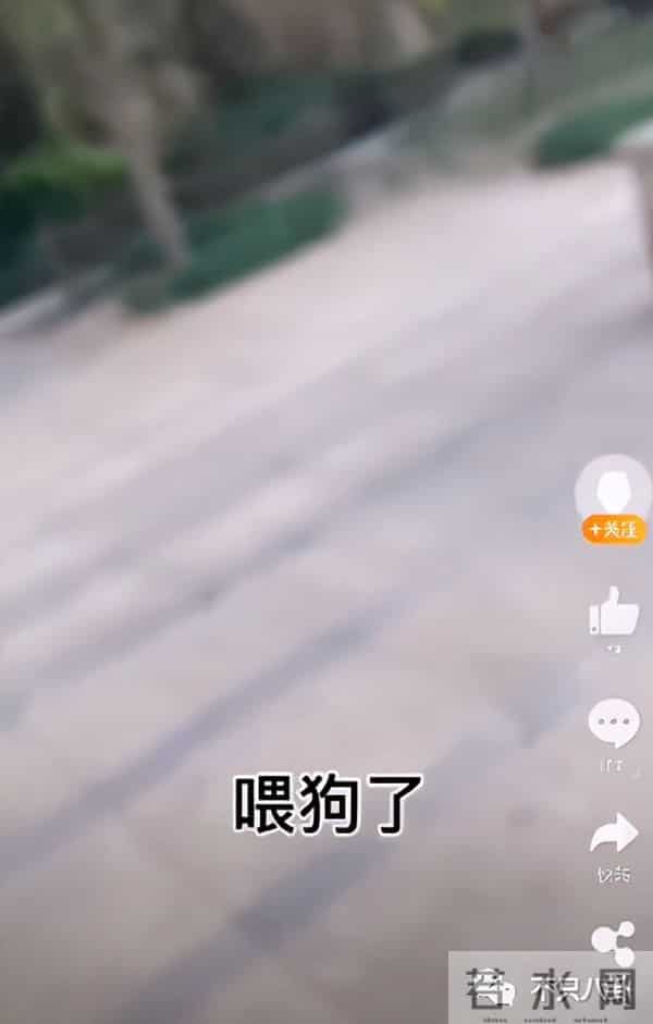 盛英豪多高