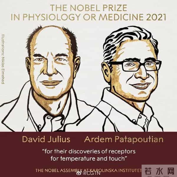 2013诺贝尔文学奖