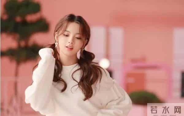 tf家族洋葱下载