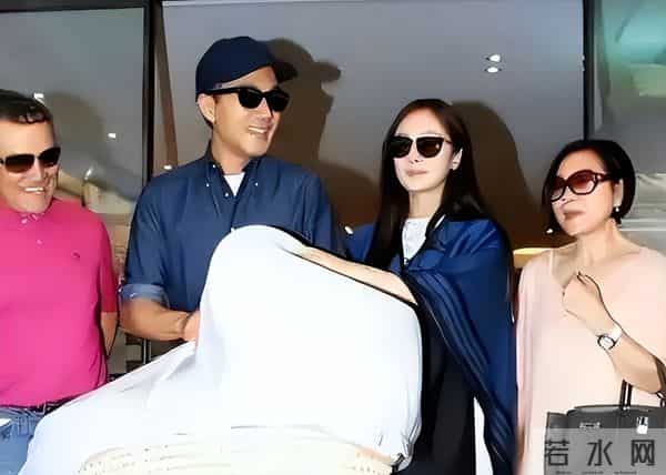 杨幂主演的电视剧