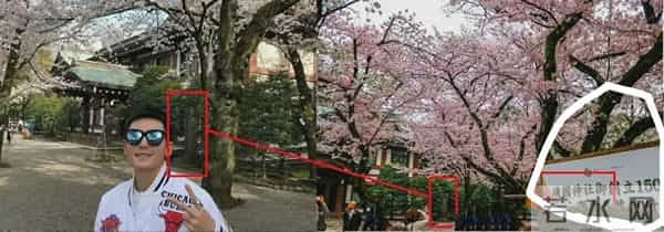 赵薇披日本军旗