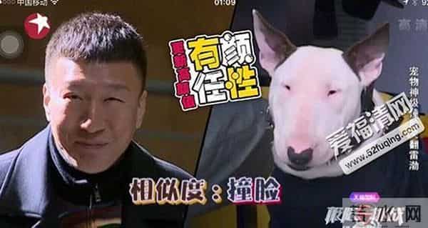 孙红雷黑社会背景