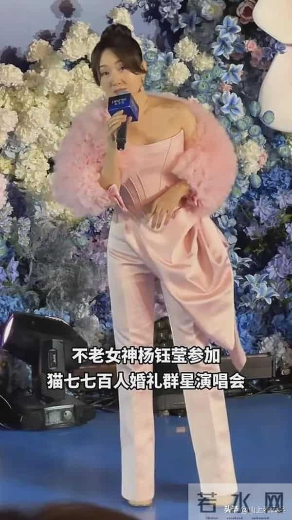 杨钰莹商演