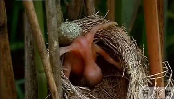 电视连续剧错爱