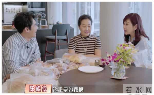 陈松伶05年发生了什么