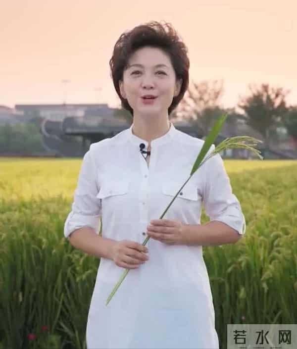 海霞第二任老公是谁