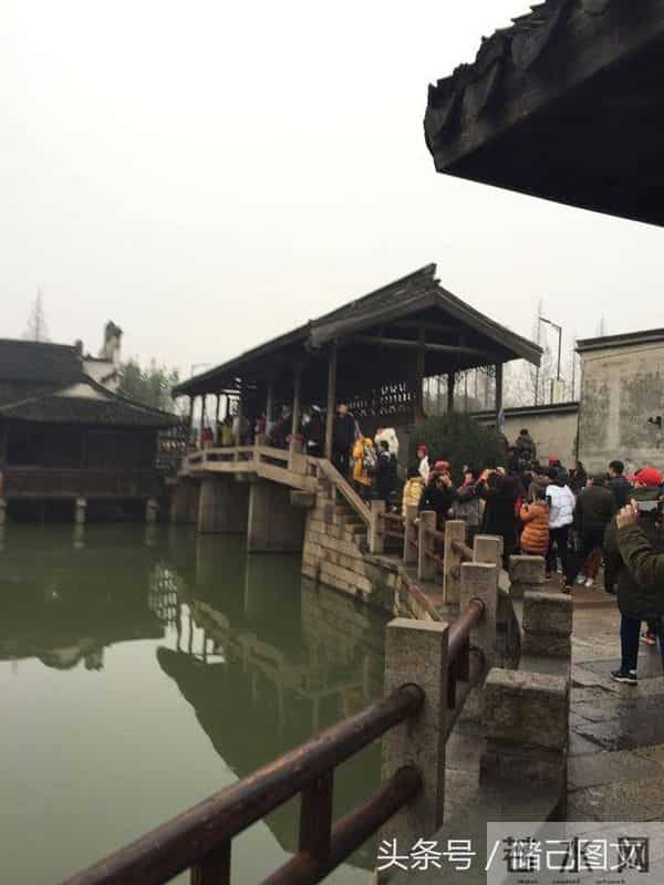 刘若英为什么叫奶茶