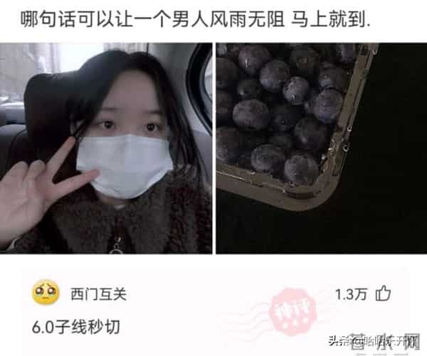 风雨无阻mp3下载