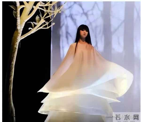 杨丽萍透露小彩旗近况