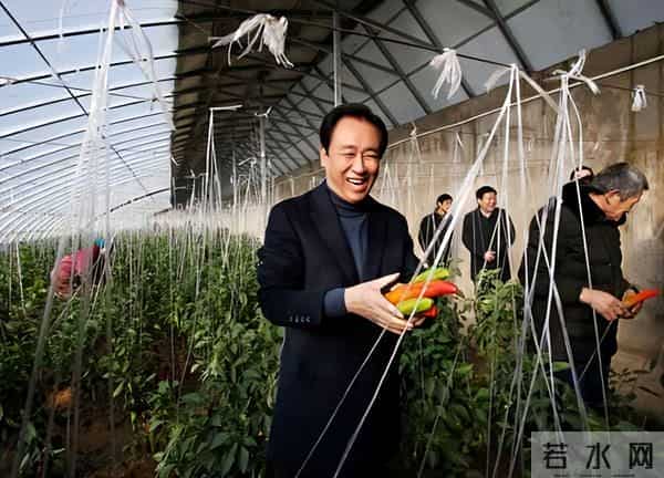 许家印范冰冰怎么到一起了呢