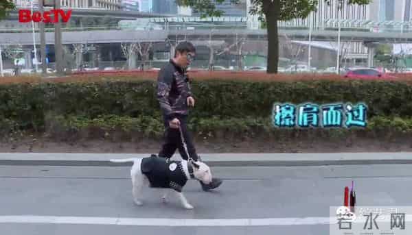 罗志祥老婆最喜欢的颜色