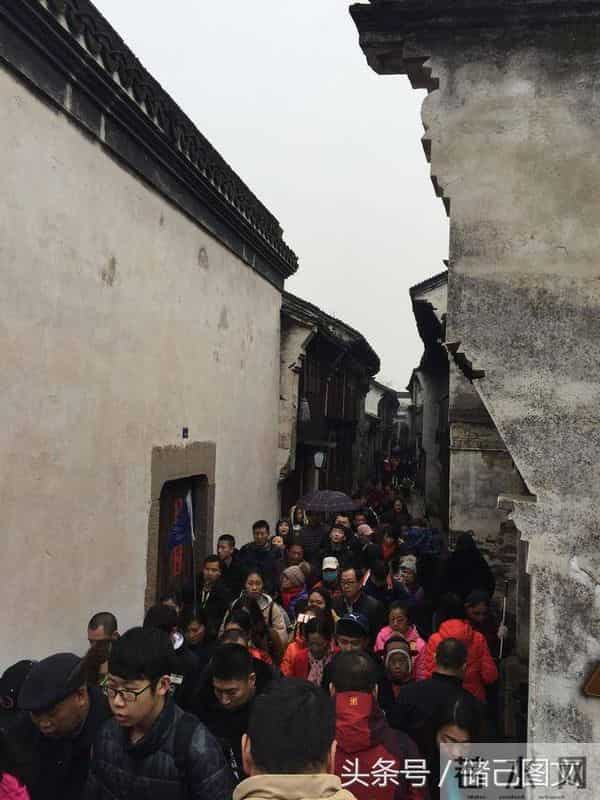 刘若英为什么叫奶茶