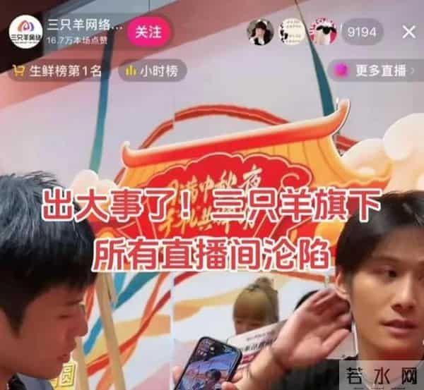 杨爸网上遛鸟的原视频