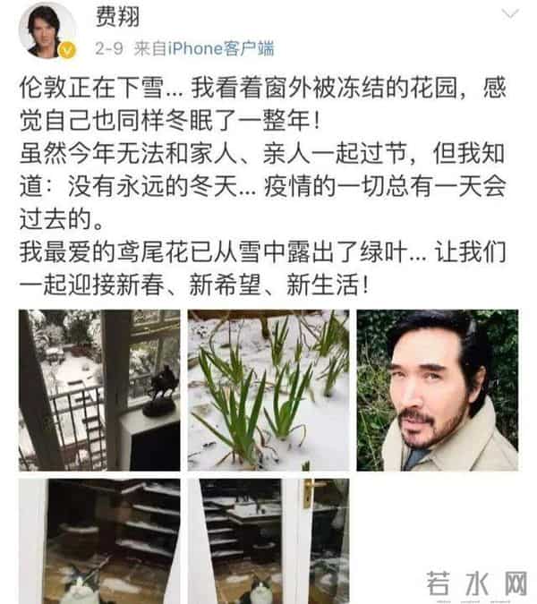 安井千惠后来嫁了吗