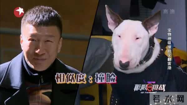 粉丝脱粉后回踩邓伦变综艺咖