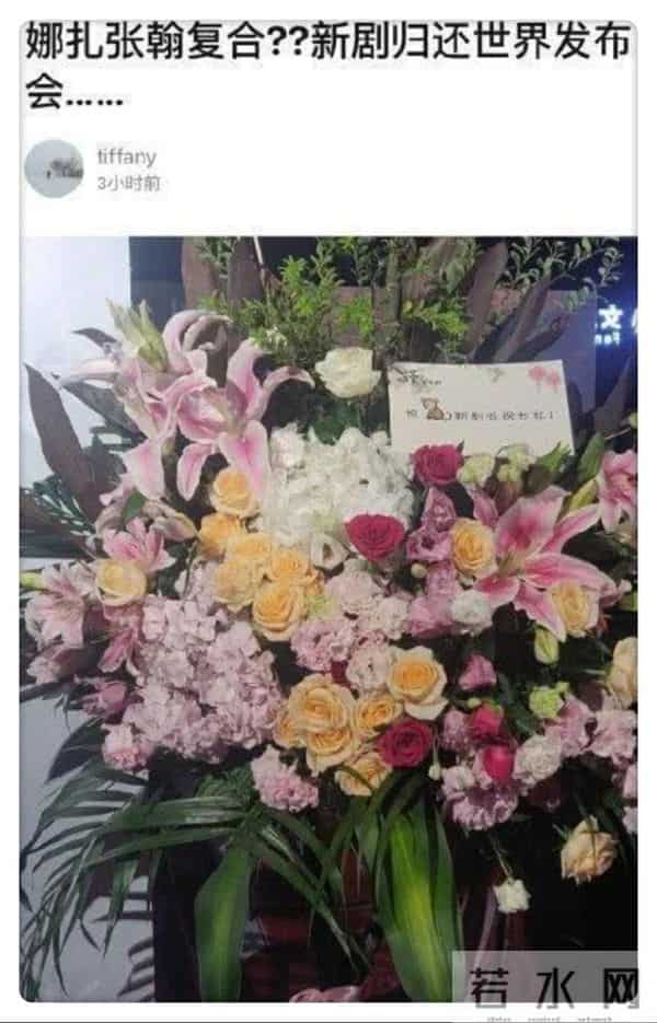 井柏然为什么取关郑爽