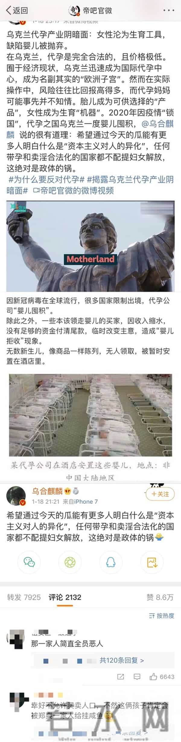 辛芷蕾点赞郑爽张恒