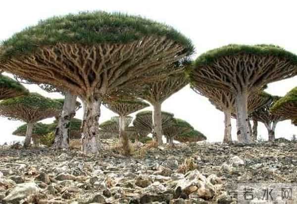 汶川地震灵异现象