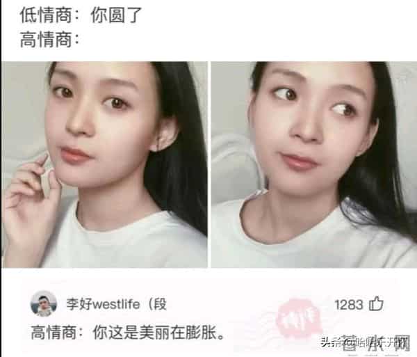 风雨无阻mp3下载