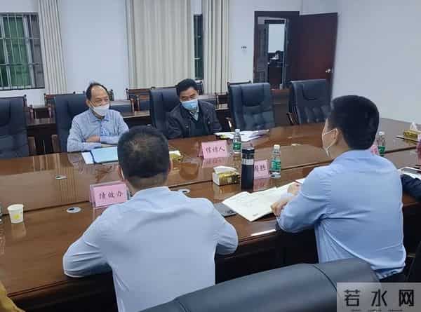 王菲菲个人资料