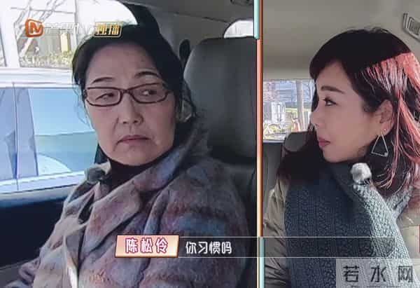 陈松伶05年发生了什么