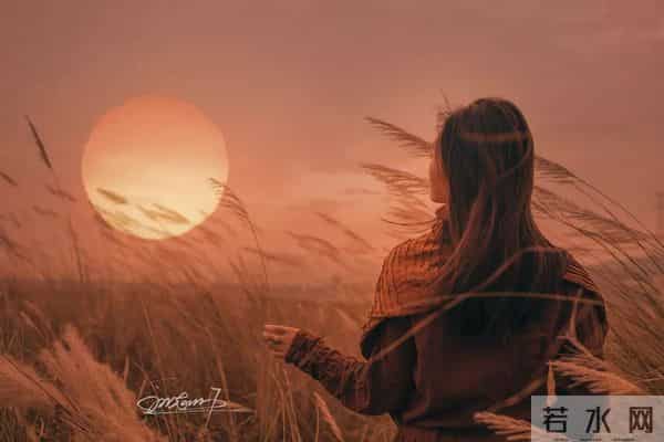 王祖蓝法海你不懂爱