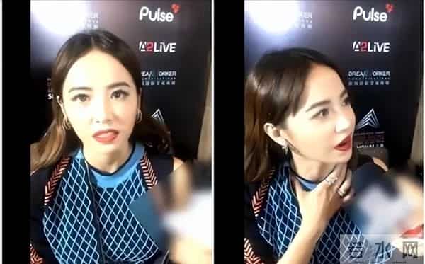 蔡依林个人简历