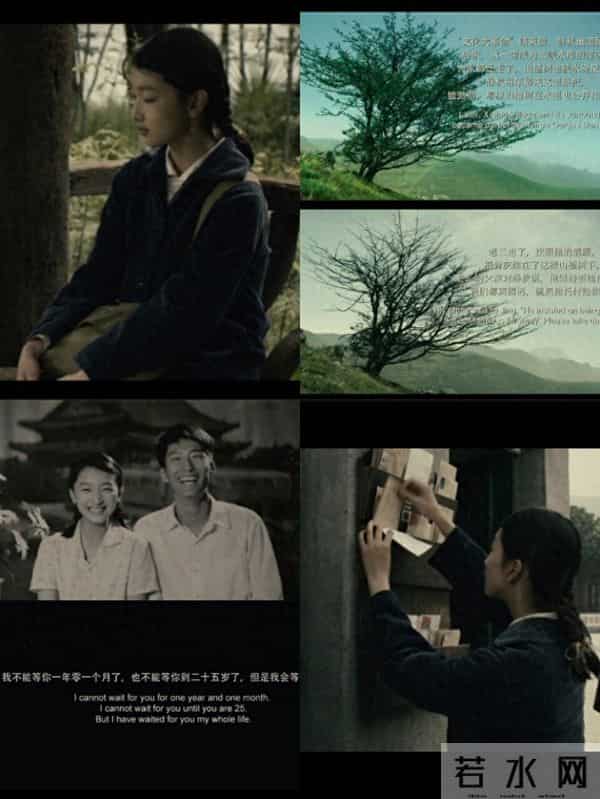 山楂树之恋迅雷