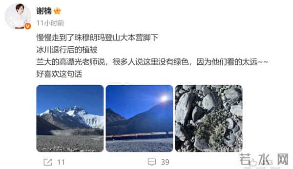 吴京谢楠结婚现场