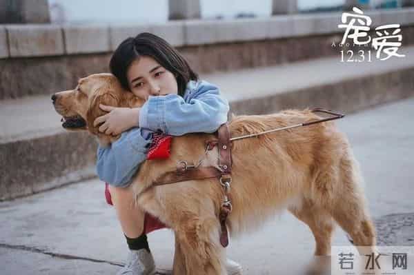 吴磊张子枫劈叉抱