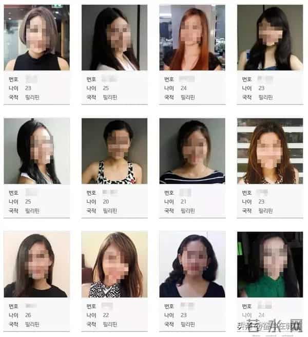 七年的爱金贤政