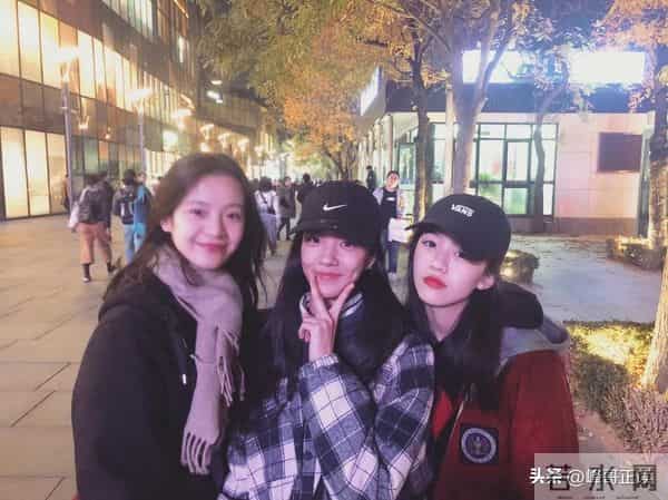 为什么徐静蕾是京圈长公主