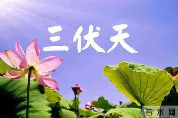 三伏天是哪一天2022