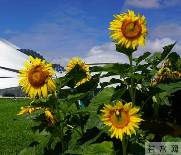 2023年立秋时间几点几分几秒钟