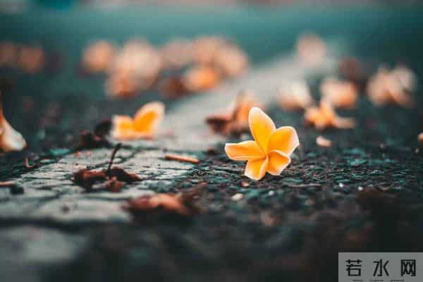 mtv歌曲免费下载