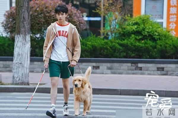 吴磊张子枫劈叉抱