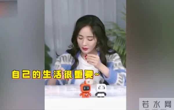 杨幂支持赵文卓