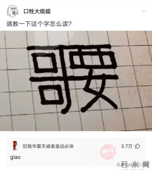 风雨无阻mp3下载